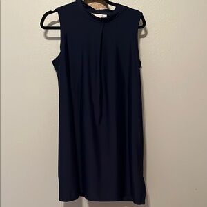 Elegant Jude Connally Navy Sleeveless Dress